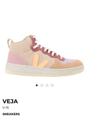 NWT Veja High-Top V-15 suede